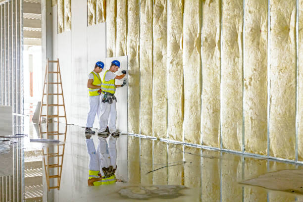 Best Attic Insulation Installation  in Orwell, OH